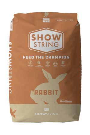 Show Rabbit